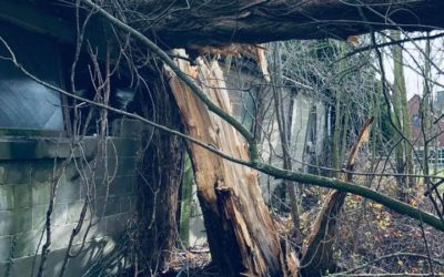 Sécurisation en urgence et démolition partielle d’un hall suite à un dégât de tempête