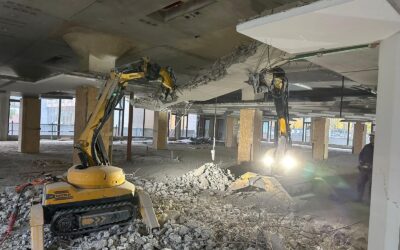 Retour sur notre chantier Mendel à Louvain