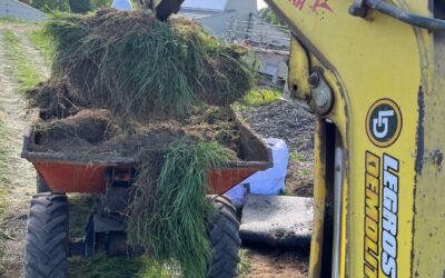 Démontage d’une toiture végétale au Sart-Tilman